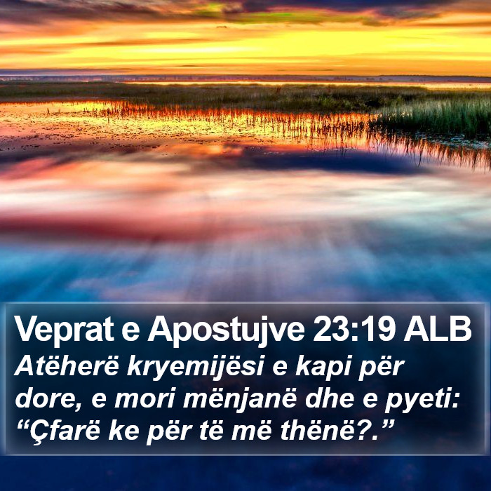 Veprat e Apostujve 23:19 ALB Bible Study