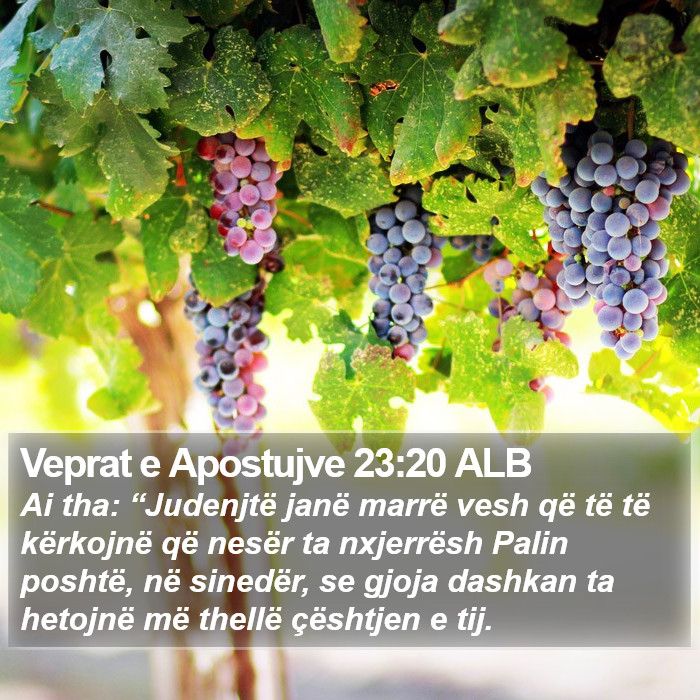 Veprat e Apostujve 23:20 ALB Bible Study