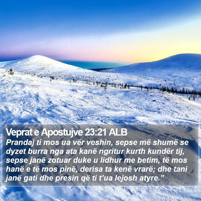 Veprat e Apostujve 23:21 ALB Bible Study