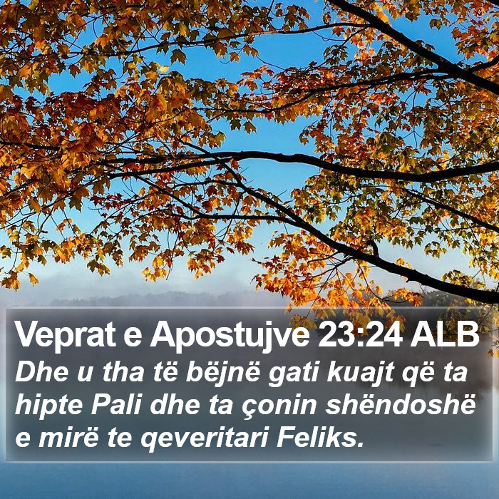 Veprat e Apostujve 23:24 ALB Bible Study