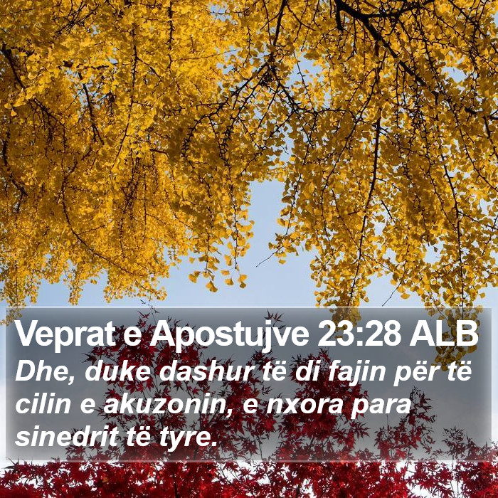 Veprat e Apostujve 23:28 ALB Bible Study