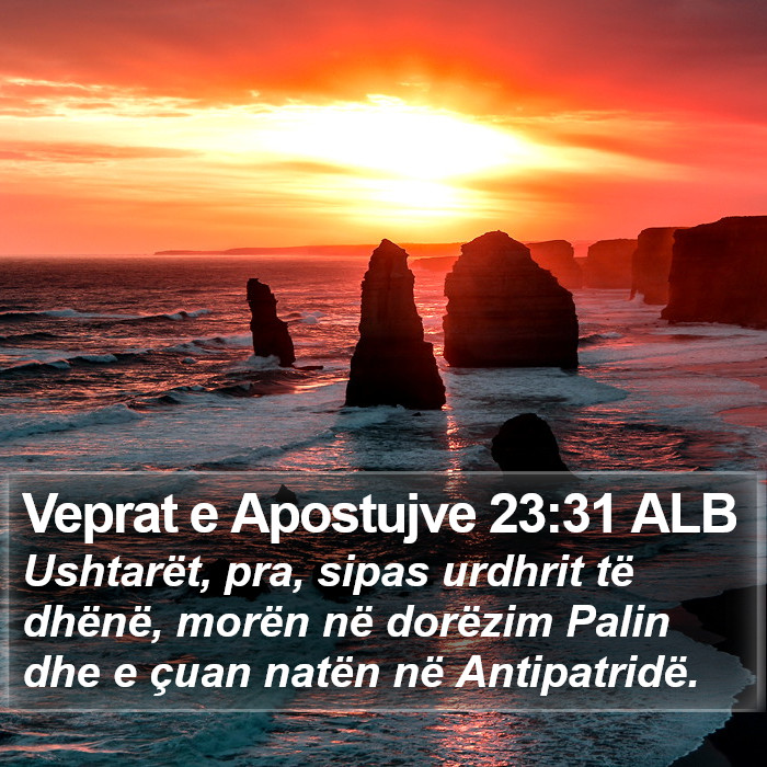 Veprat e Apostujve 23:31 ALB Bible Study