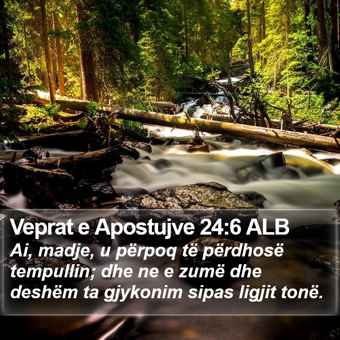 Veprat e Apostujve 24:6 ALB Bible Study