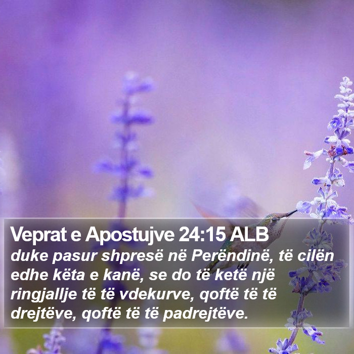 Veprat e Apostujve 24:15 ALB Bible Study