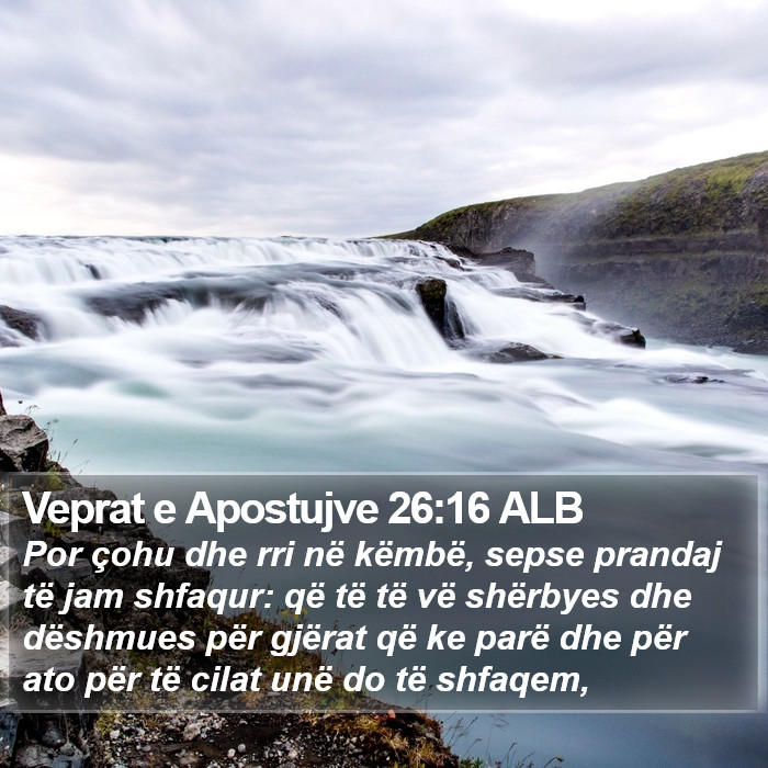 Veprat e Apostujve 26:16 ALB Bible Study