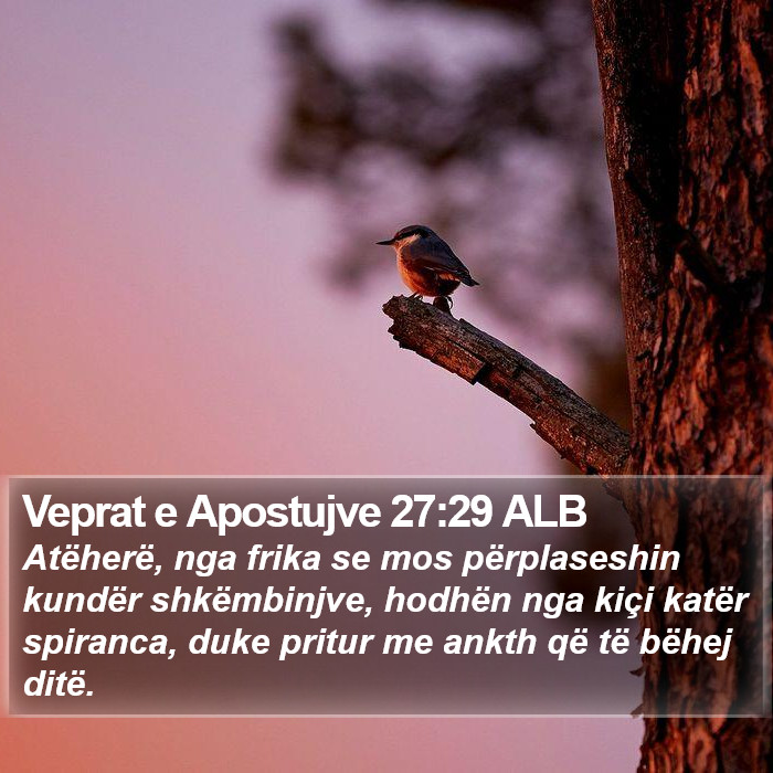 Veprat e Apostujve 27:29 ALB Bible Study