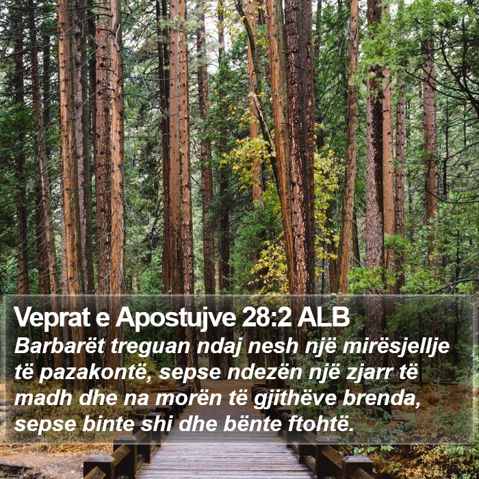Veprat e Apostujve 28:2 ALB Bible Study