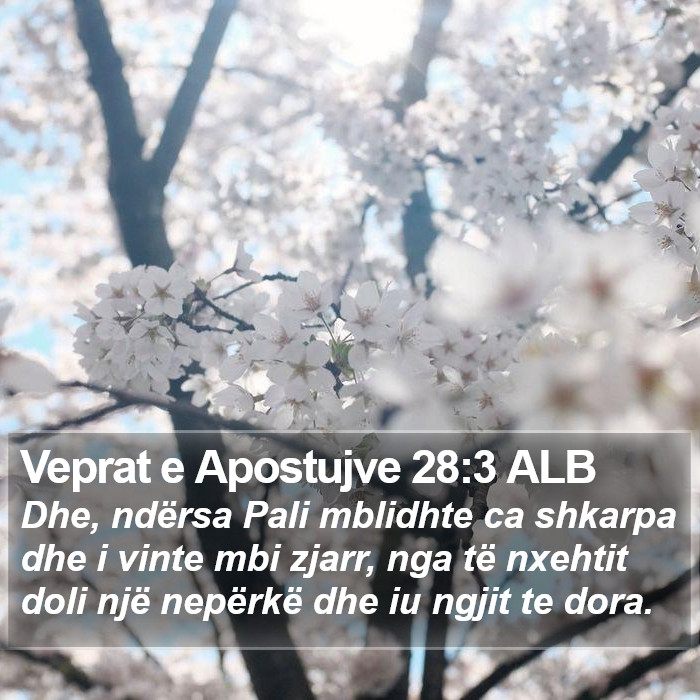 Veprat e Apostujve 28:3 ALB Bible Study