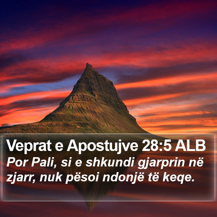 Veprat e Apostujve 28:5 ALB Bible Study