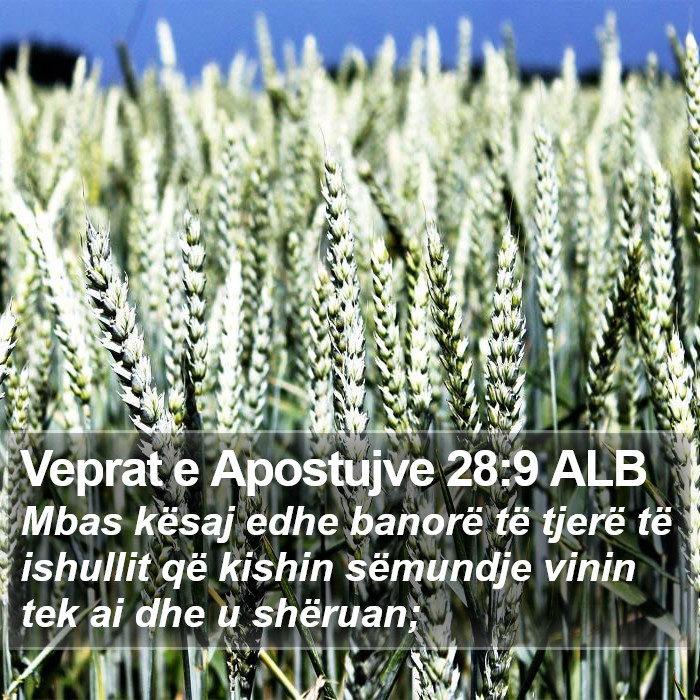 Veprat e Apostujve 28:9 ALB Bible Study