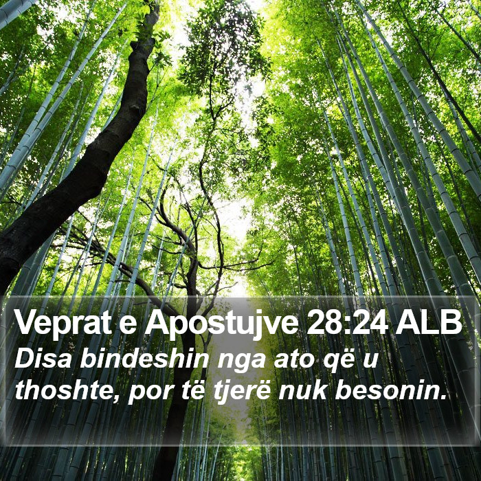 Veprat e Apostujve 28:24 ALB Bible Study