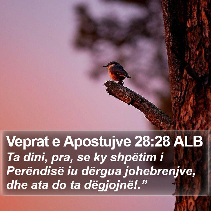 Veprat e Apostujve 28:28 ALB Bible Study