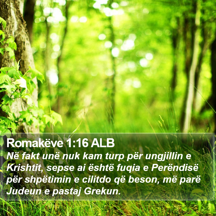 Romakëve 1:16 ALB Bible Study