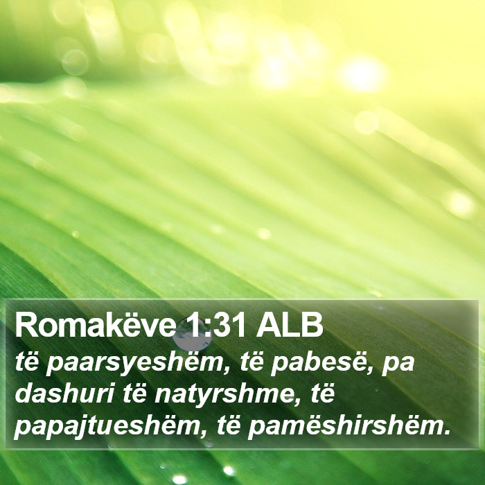 Romakëve 1:31 ALB Bible Study