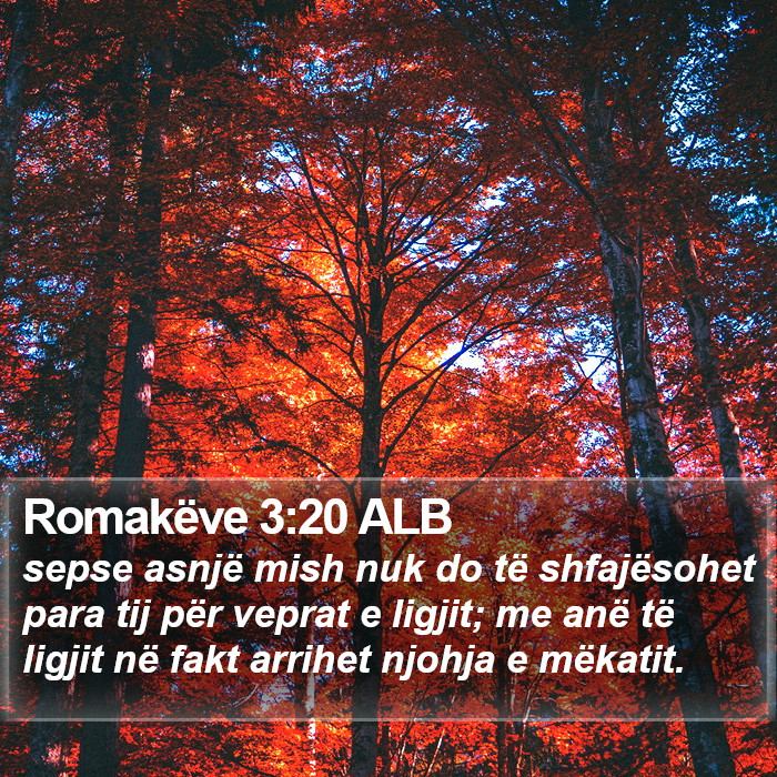 Romakëve 3:20 ALB Bible Study