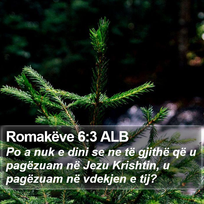 Romakëve 6:3 ALB Bible Study