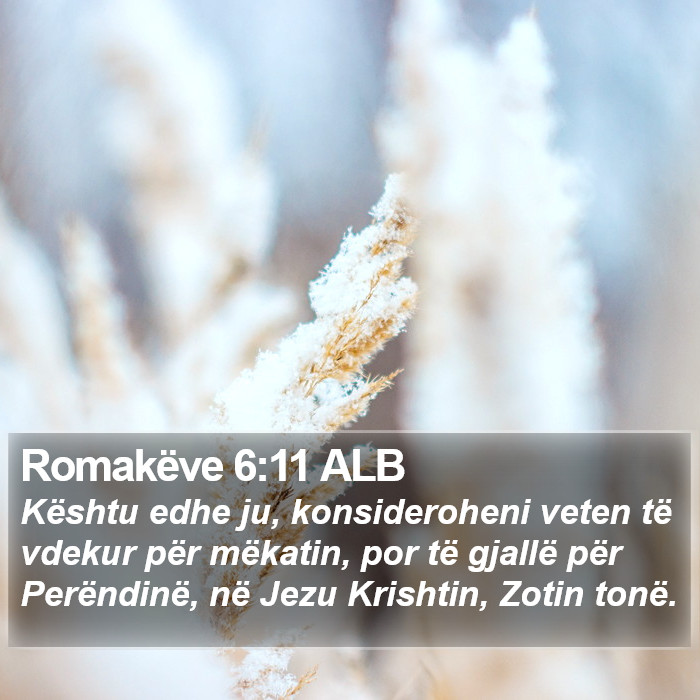 Romakëve 6:11 ALB Bible Study