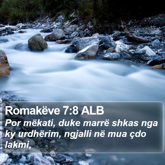 Romakëve 7:8 ALB Bible Study