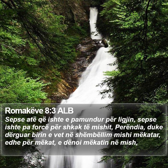 Romakëve 8:3 ALB Bible Study