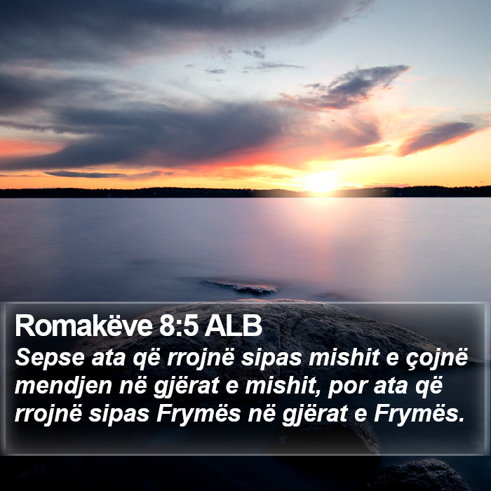 Romakëve 8:5 ALB Bible Study