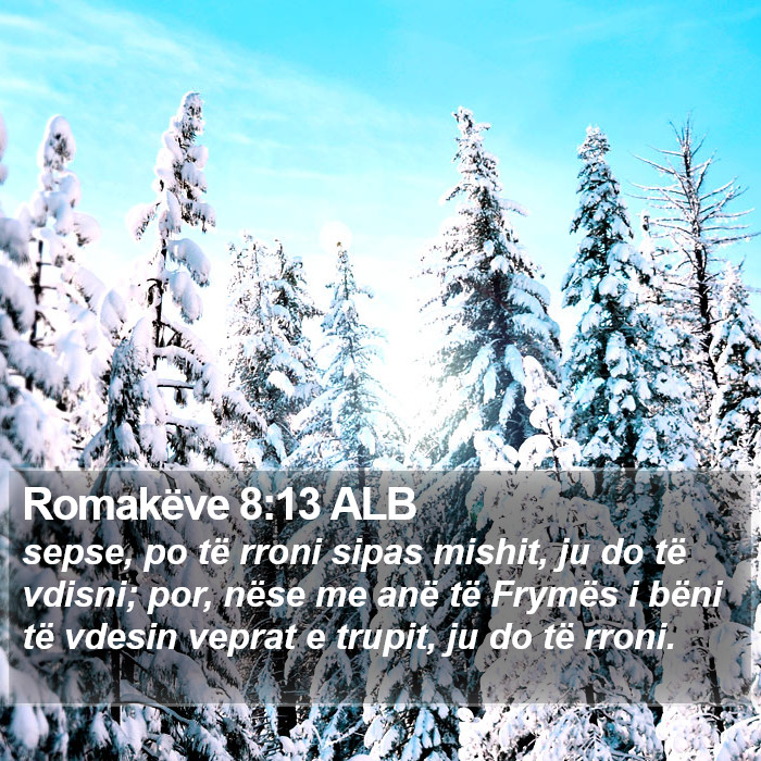 Romakëve 8:13 ALB Bible Study
