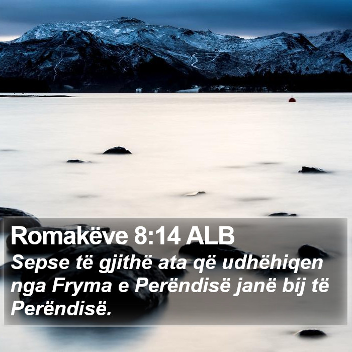 Romakëve 8:14 ALB Bible Study