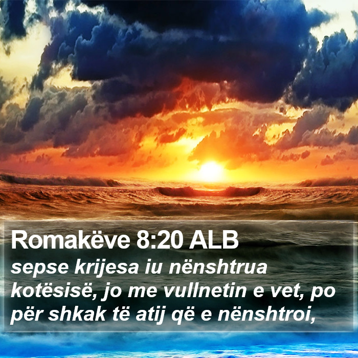 Romakëve 8:20 ALB Bible Study