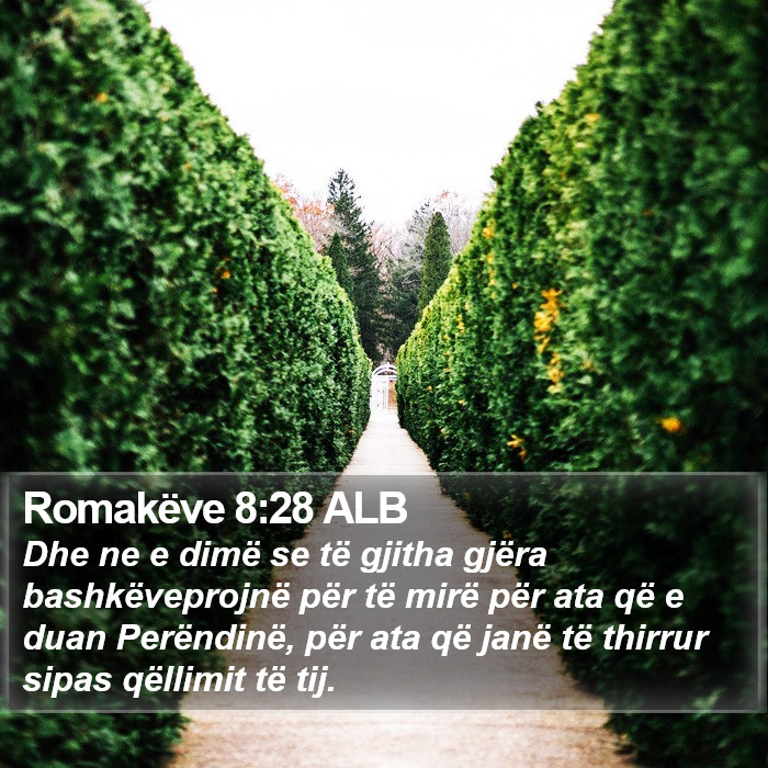 Romakëve 8:28 ALB Bible Study