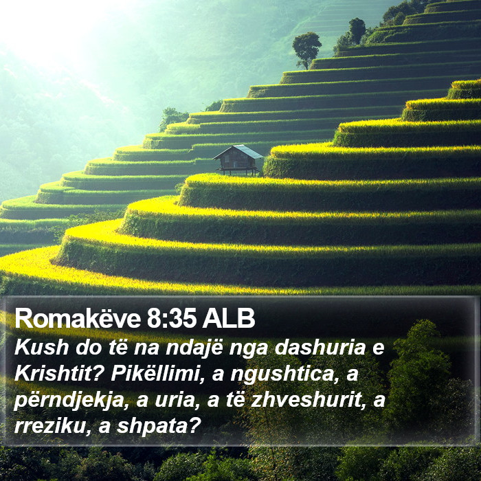 Romakëve 8:35 ALB Bible Study
