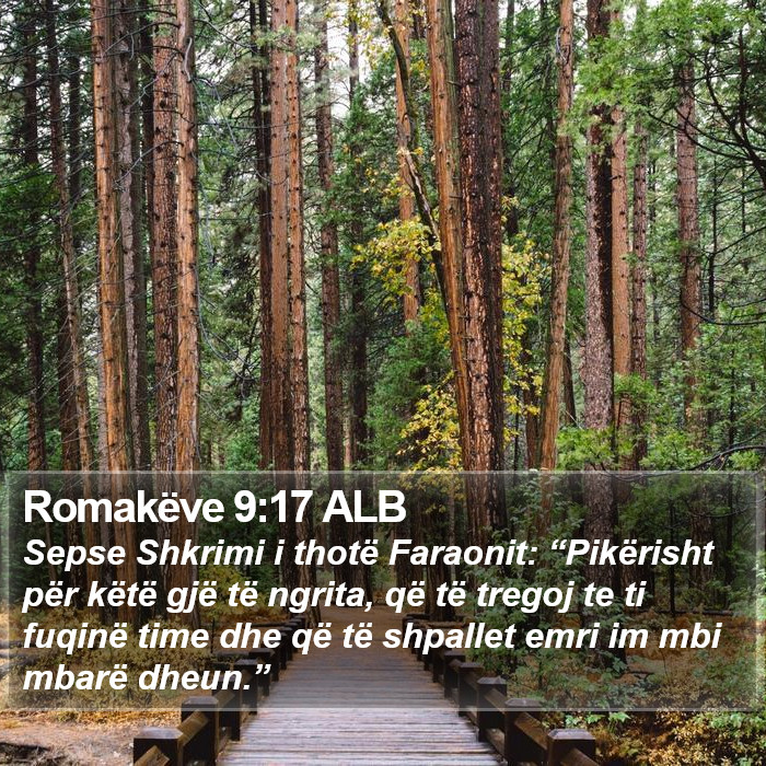 Romakëve 9:17 ALB Bible Study