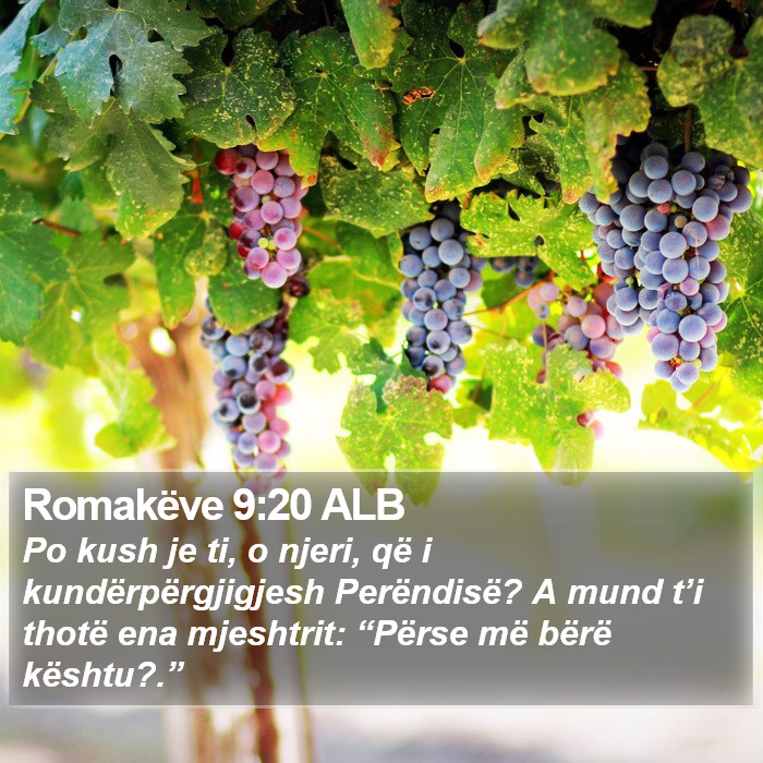Romakëve 9:20 ALB Bible Study