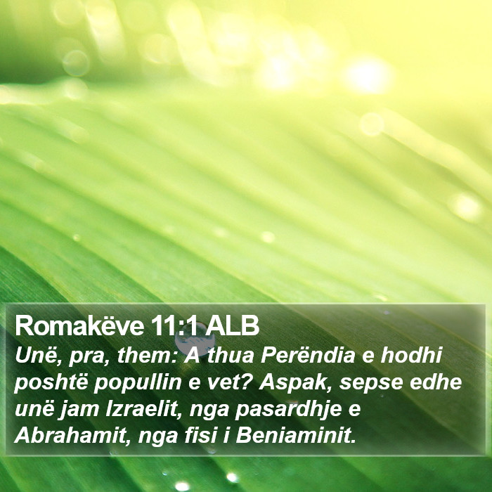 Romakëve 11:1 ALB Bible Study