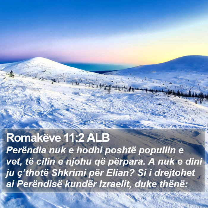 Romakëve 11:2 ALB Bible Study