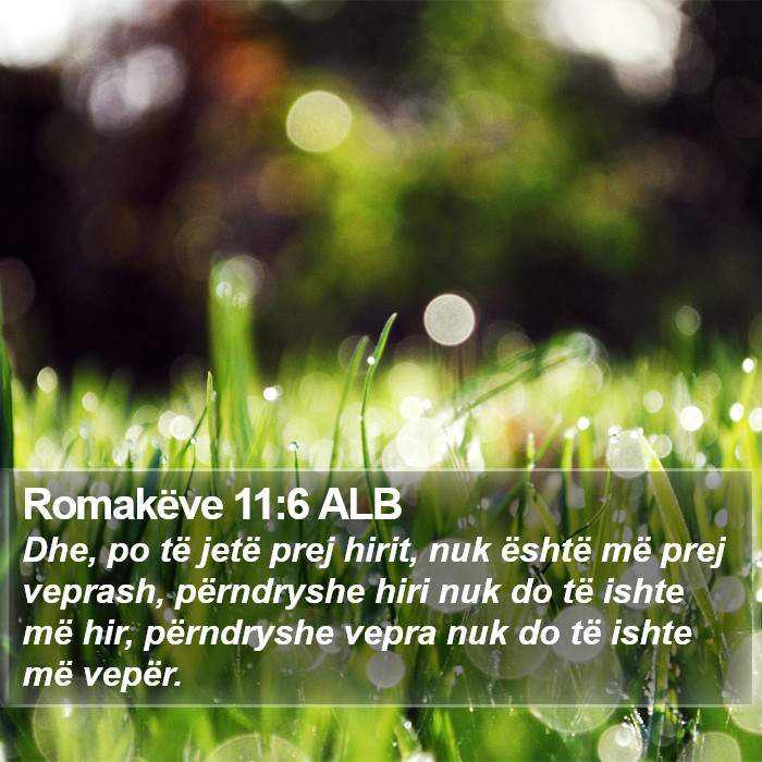 Romakëve 11:6 ALB Bible Study