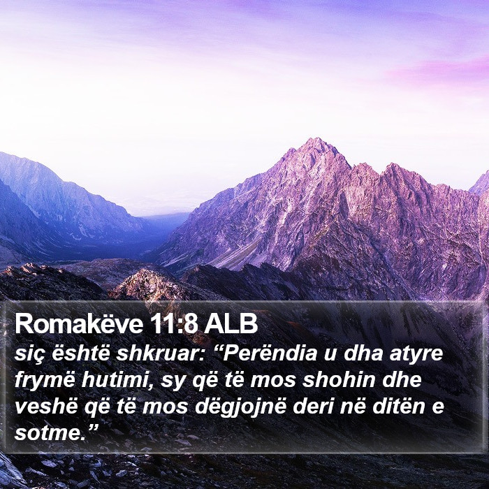 Romakëve 11:8 ALB Bible Study