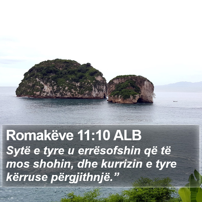 Romakëve 11:10 ALB Bible Study