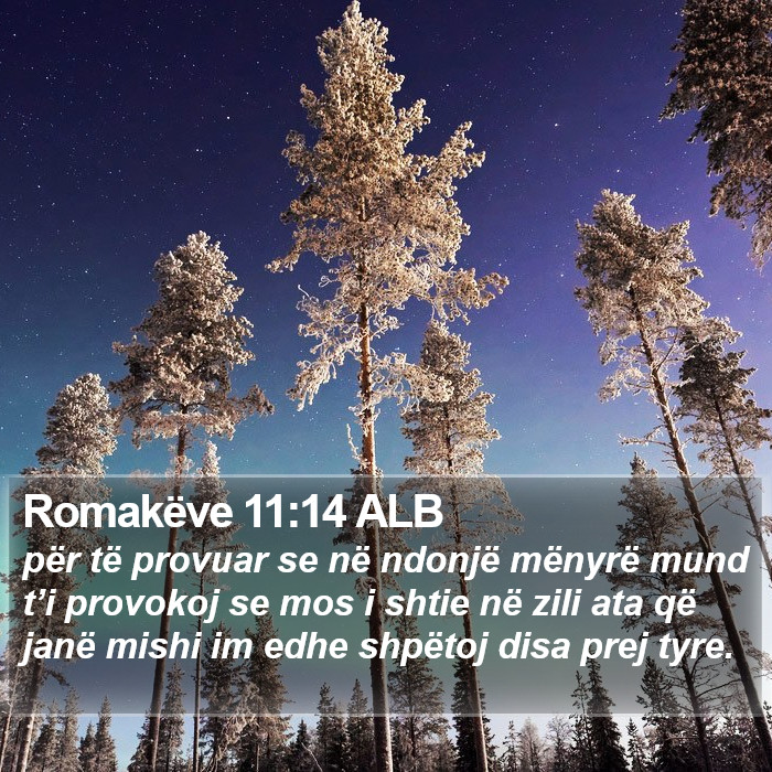 Romakëve 11:14 ALB Bible Study