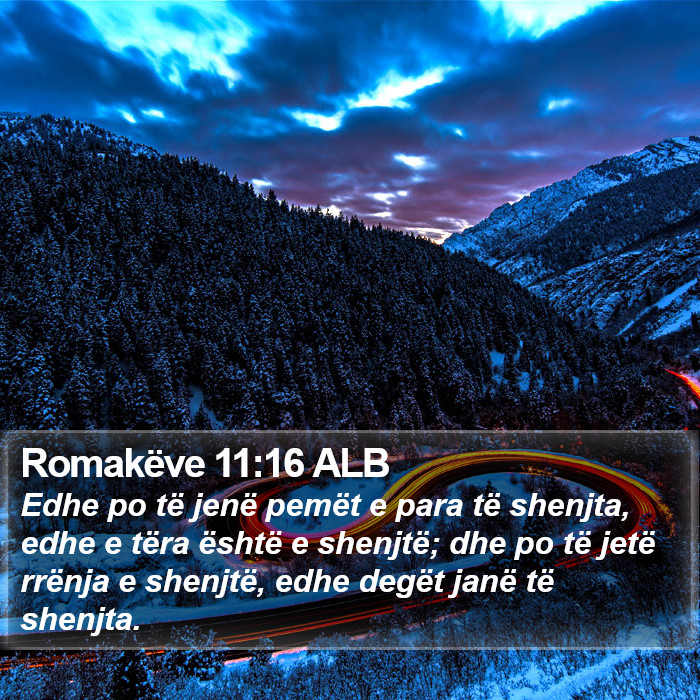 Romakëve 11:16 ALB Bible Study