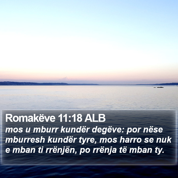 Romakëve 11:18 ALB Bible Study