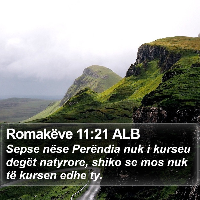 Romakëve 11:21 ALB Bible Study