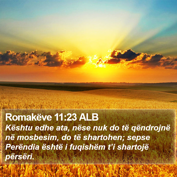 Romakëve 11:23 ALB Bible Study