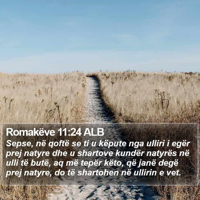 Romakëve 11:24 ALB Bible Study