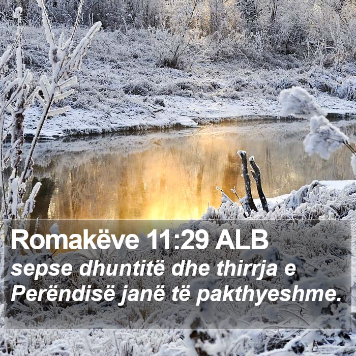 Romakëve 11:29 ALB Bible Study