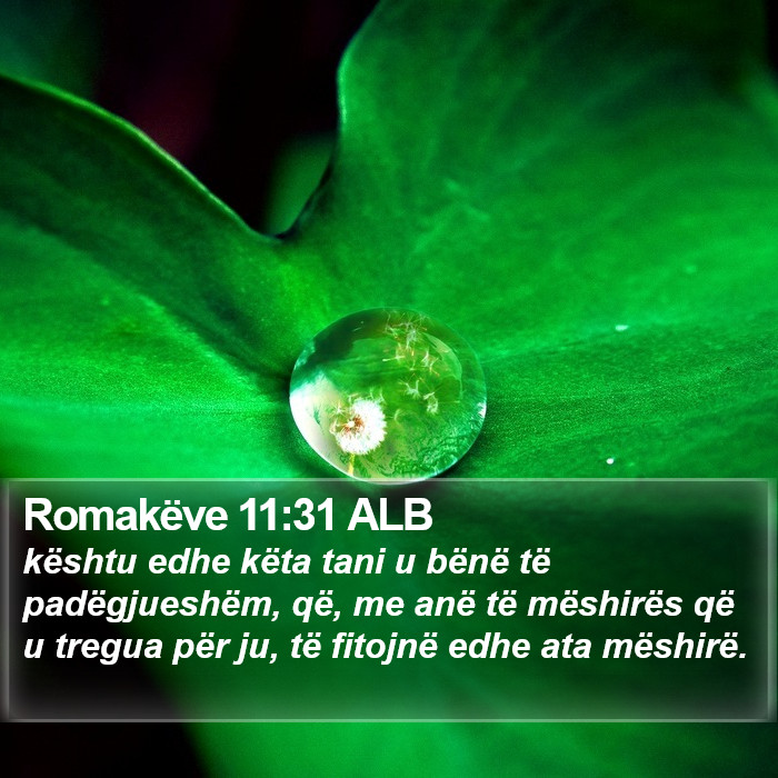 Romakëve 11:31 ALB Bible Study