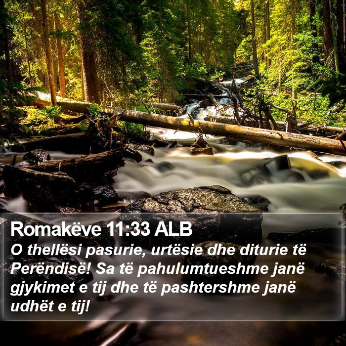 Romakëve 11:33 ALB Bible Study