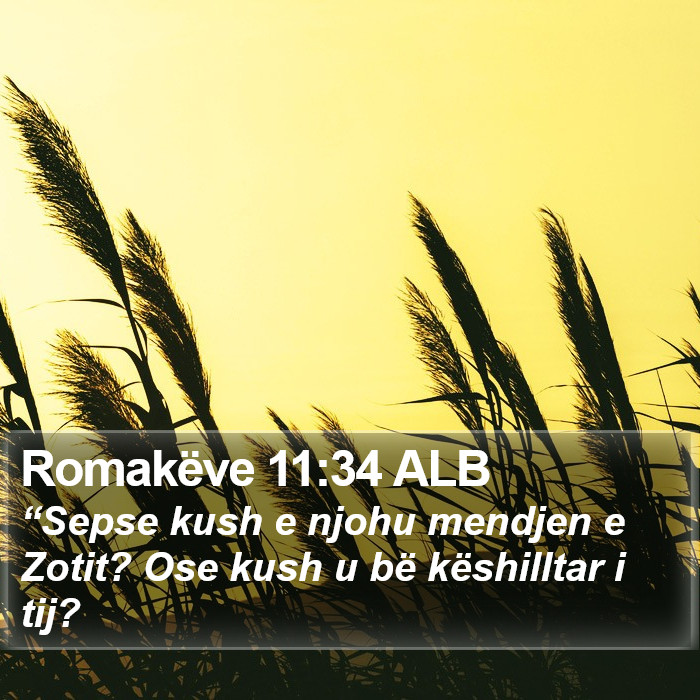 Romakëve 11:34 ALB Bible Study