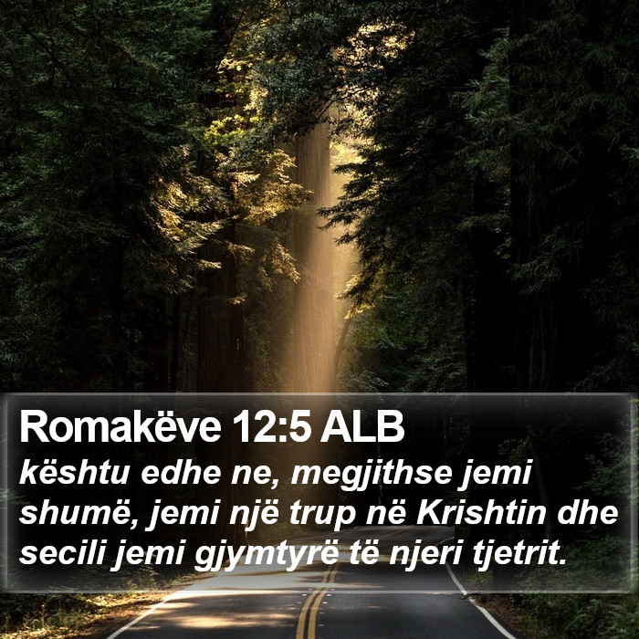 Romakëve 12:5 ALB Bible Study