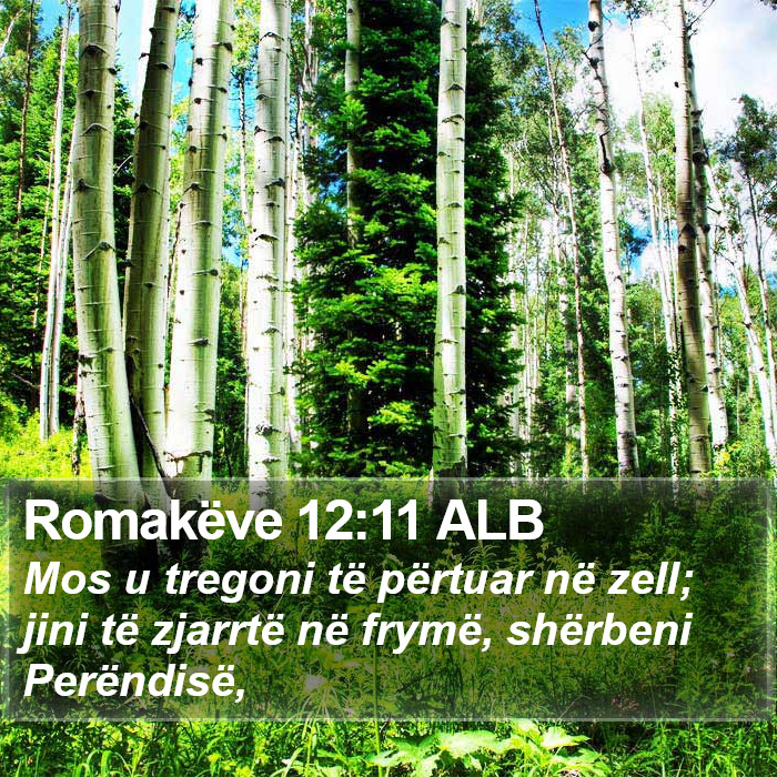 Romakëve 12:11 ALB Bible Study