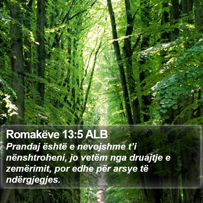 Romakëve 13:5 ALB Bible Study