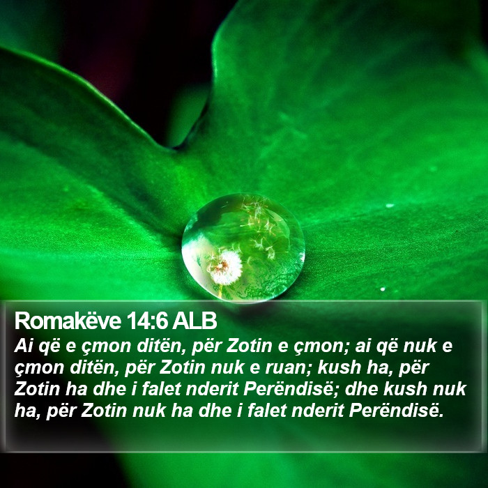Romakëve 14:6 ALB Bible Study